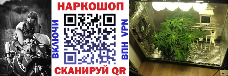  COCAIN Могоча